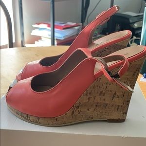 Call It Spring Salmon Wedges